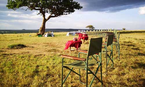 Simba Lodges Game Birds