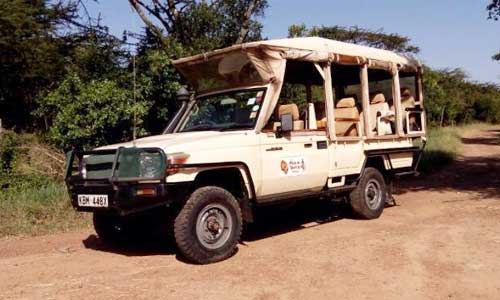 Simba Lodges Game Drive